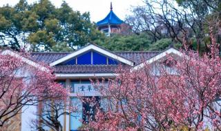 穿过寒冬拥抱你观后感 穿过寒冬拥抱你观后感